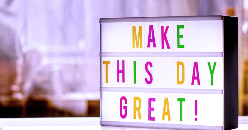 Lettre de motivation stage de 3ème vétérinaire : nos conseils pour convaincre