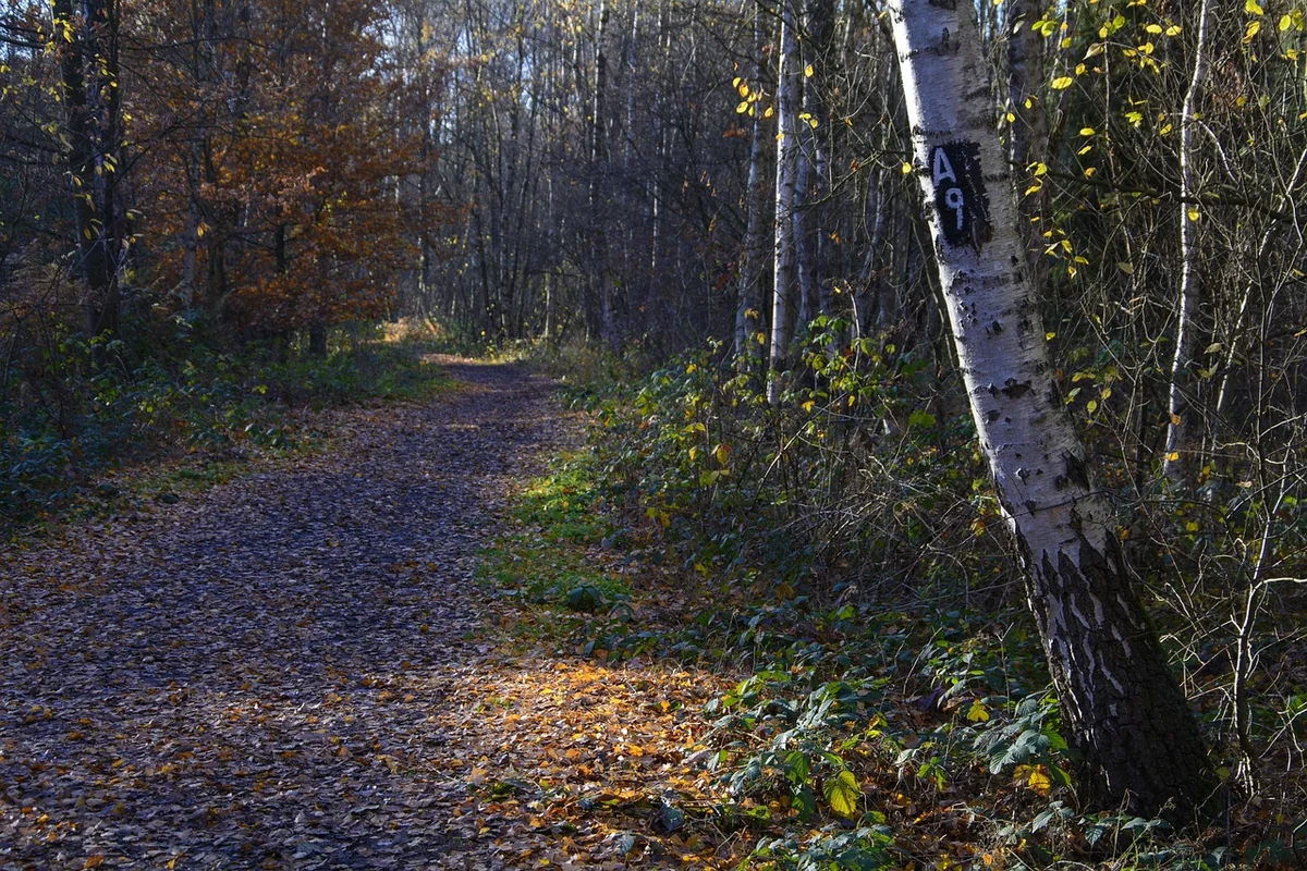 Exploiter et défendre son patrimoine