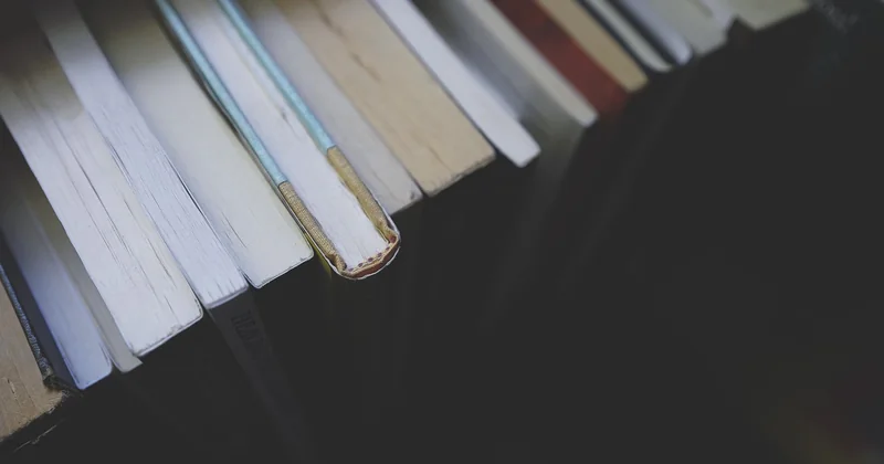 Après la connexion : où trouver vos cours, vos ressources et vos examens ?